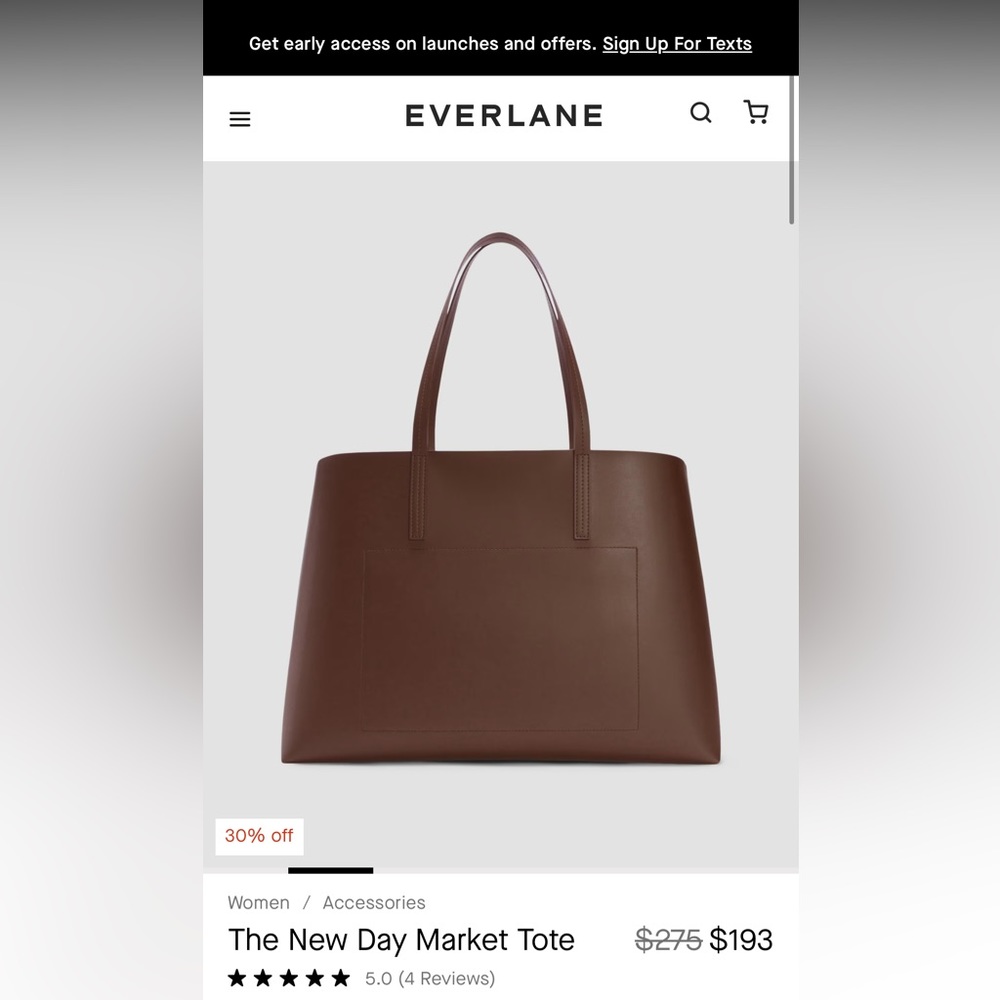 Everlane Brown New Day Market Tote